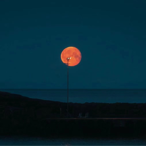 孕妇在线观看免费高清电视剧
